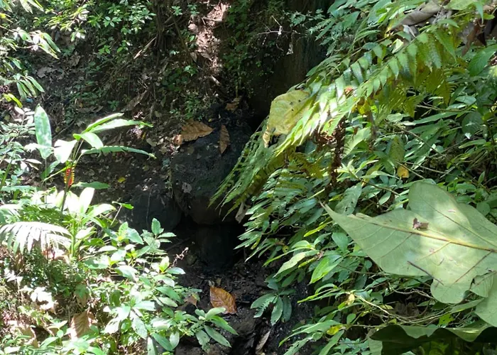 The Civyt Ubud